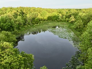Property photo 14 - LAND AUCTION - 36+/-ACRES OFFERED IN 2 TRACTS IN WHITLEY COUNTY, INDIANA