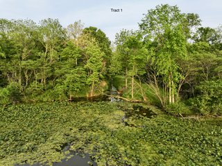 Property photo 5 - LAND AUCTION - 36+/-ACRES OFFERED IN 2 TRACTS IN WHITLEY COUNTY, INDIANA
