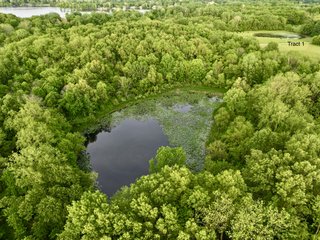 Property photo 6 - LAND AUCTION - 36+/-ACRES OFFERED IN 2 TRACTS IN WHITLEY COUNTY, INDIANA