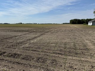 Property photo 22 - LAND AUCTION - 92+/-ACRES OFFERED IN 5 TRACTS IN ALLEN COUNTY, INDIANA