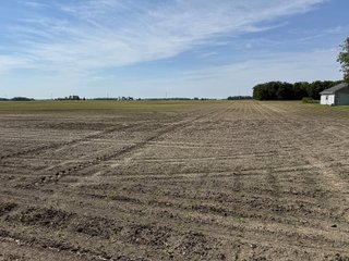 Property photo 21 - LAND AUCTION - 92+/-ACRES OFFERED IN 5 TRACTS IN ALLEN COUNTY, INDIANA