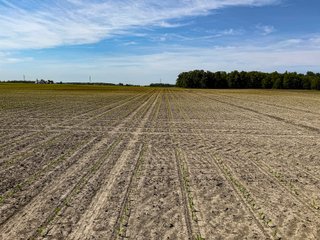 Property photo 20 - LAND AUCTION - 92+/-ACRES OFFERED IN 5 TRACTS IN ALLEN COUNTY, INDIANA