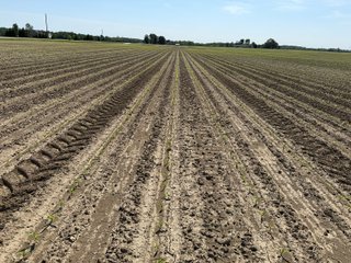 Property photo 19 - LAND AUCTION - 92+/-ACRES OFFERED IN 5 TRACTS IN ALLEN COUNTY, INDIANA