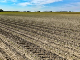 Property photo 18 - LAND AUCTION - 92+/-ACRES OFFERED IN 5 TRACTS IN ALLEN COUNTY, INDIANA