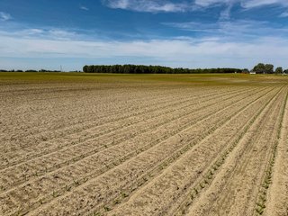 Property photo 13 - LAND AUCTION - 92+/-ACRES OFFERED IN 5 TRACTS IN ALLEN COUNTY, INDIANA