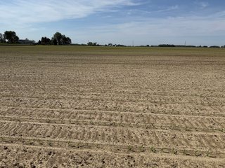 Property photo 12 - LAND AUCTION - 92+/-ACRES OFFERED IN 5 TRACTS IN ALLEN COUNTY, INDIANA
