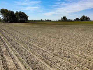 Property photo 11 - LAND AUCTION - 92+/-ACRES OFFERED IN 5 TRACTS IN ALLEN COUNTY, INDIANA