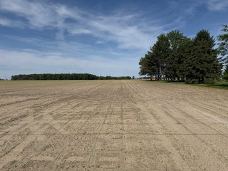 Property photo 9 - LAND AUCTION - 92+/-ACRES OFFERED IN 5 TRACTS IN ALLEN COUNTY, INDIANA