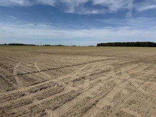 Property photo 8 - LAND AUCTION - 92+/-ACRES OFFERED IN 5 TRACTS IN ALLEN COUNTY, INDIANA