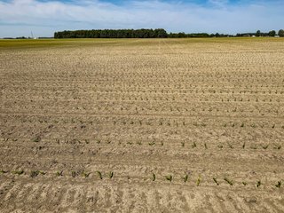 Property photo 6 - LAND AUCTION - 92+/-ACRES OFFERED IN 5 TRACTS IN ALLEN COUNTY, INDIANA