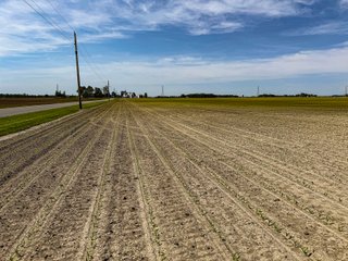 Property photo 3 - LAND AUCTION - 92+/-ACRES OFFERED IN 5 TRACTS IN ALLEN COUNTY, INDIANA