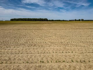 Property photo 2 - LAND AUCTION - 92+/-ACRES OFFERED IN 5 TRACTS IN ALLEN COUNTY, INDIANA
