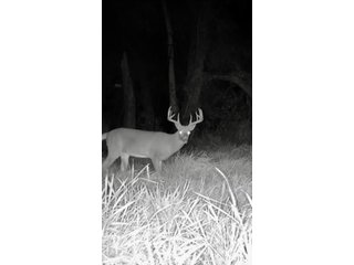 Property photo 20 - LAND AUCTION - 125.25+/-ACRES OFFERED IN 4 TRACTS IN LAPORTE COUNTY, INDIANA