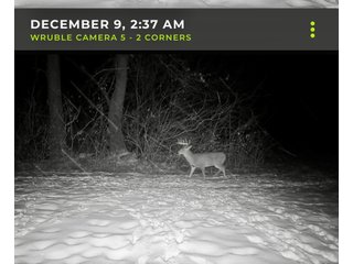 Property photo 22 - LAND AUCTION - 125.25+/-ACRES OFFERED IN 4 TRACTS IN LAPORTE COUNTY, INDIANA