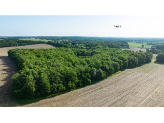 Property photo 6 - LAND AUCTION - 125.25+/-ACRES OFFERED IN 4 TRACTS IN LAPORTE COUNTY, INDIANA
