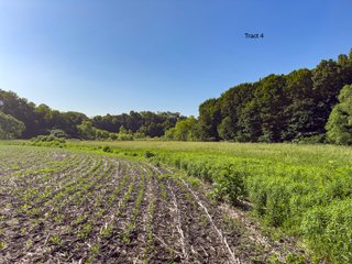 Property photo 14 - LAND AUCTION - 125.25+/-ACRES OFFERED IN 4 TRACTS IN LAPORTE COUNTY, INDIANA