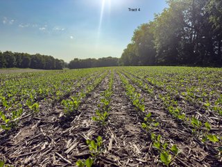 Property photo 16 - LAND AUCTION - 125.25+/-ACRES OFFERED IN 4 TRACTS IN LAPORTE COUNTY, INDIANA