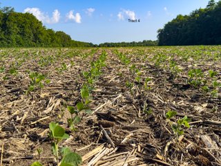 Property photo 17 - LAND AUCTION - 125.25+/-ACRES OFFERED IN 4 TRACTS IN LAPORTE COUNTY, INDIANA