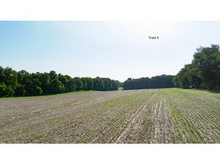Property photo 7 - LAND AUCTION - 125.25+/-ACRES OFFERED IN 4 TRACTS IN LAPORTE COUNTY, INDIANA