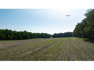 Property photo 10 - LAND AUCTION - 125.25+/-ACRES OFFERED IN 4 TRACTS IN LAPORTE COUNTY, INDIANA