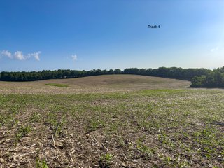 Property photo 19 - LAND AUCTION - 125.25+/-ACRES OFFERED IN 4 TRACTS IN LAPORTE COUNTY, INDIANA