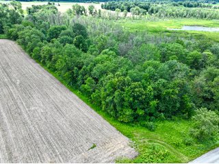 Property photo 11 - REAL ESTATE AUCTION - 17.27+/-ACRES OFFERED IN 2 TRACTS IN NOBLE COUNTY, INDIANA