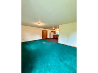 Property photo 20 - REAL ESTATE AUCTION - 17.27+/-ACRES OFFERED IN 2 TRACTS IN NOBLE COUNTY, INDIANA