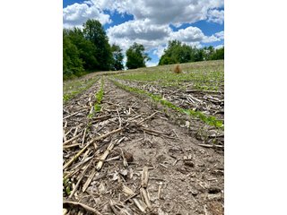 Property photo 16 - REAL ESTATE AUCTION - 17.27+/-ACRES OFFERED IN 2 TRACTS IN NOBLE COUNTY, INDIANA