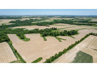 Property photo 13 - REAL ESTATE AUCTION - 252.8+/-ACRES OFFERED IN 6 TRACTS IN GRANT COUNTY, WISCONSIN