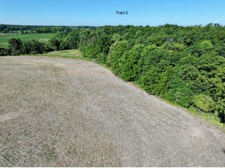 Property photo 33 - LAND AUCTION - 67+/-ACRES OFFERED IN 5 TRACTS IN DEKALB COUNTY, INDIANA