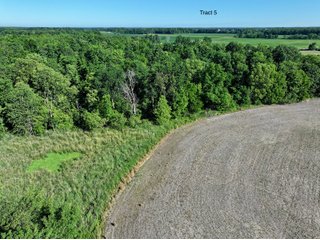 Property photo 34 - LAND AUCTION - 67+/-ACRES OFFERED IN 5 TRACTS IN DEKALB COUNTY, INDIANA