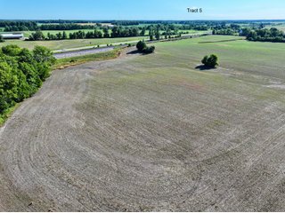 Property photo 35 - LAND AUCTION - 67+/-ACRES OFFERED IN 5 TRACTS IN DEKALB COUNTY, INDIANA