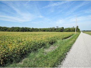 Property photo 10 - LAND AUCTION - 79+/-ACRES OFFERED IN 4 TRACTS IN MADISON COUNTY, INDIANA