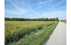 Property photo 10 - LAND AUCTION - 79+/-ACRES OFFERED IN 4 TRACTS IN MADISON COUNTY, INDIANA