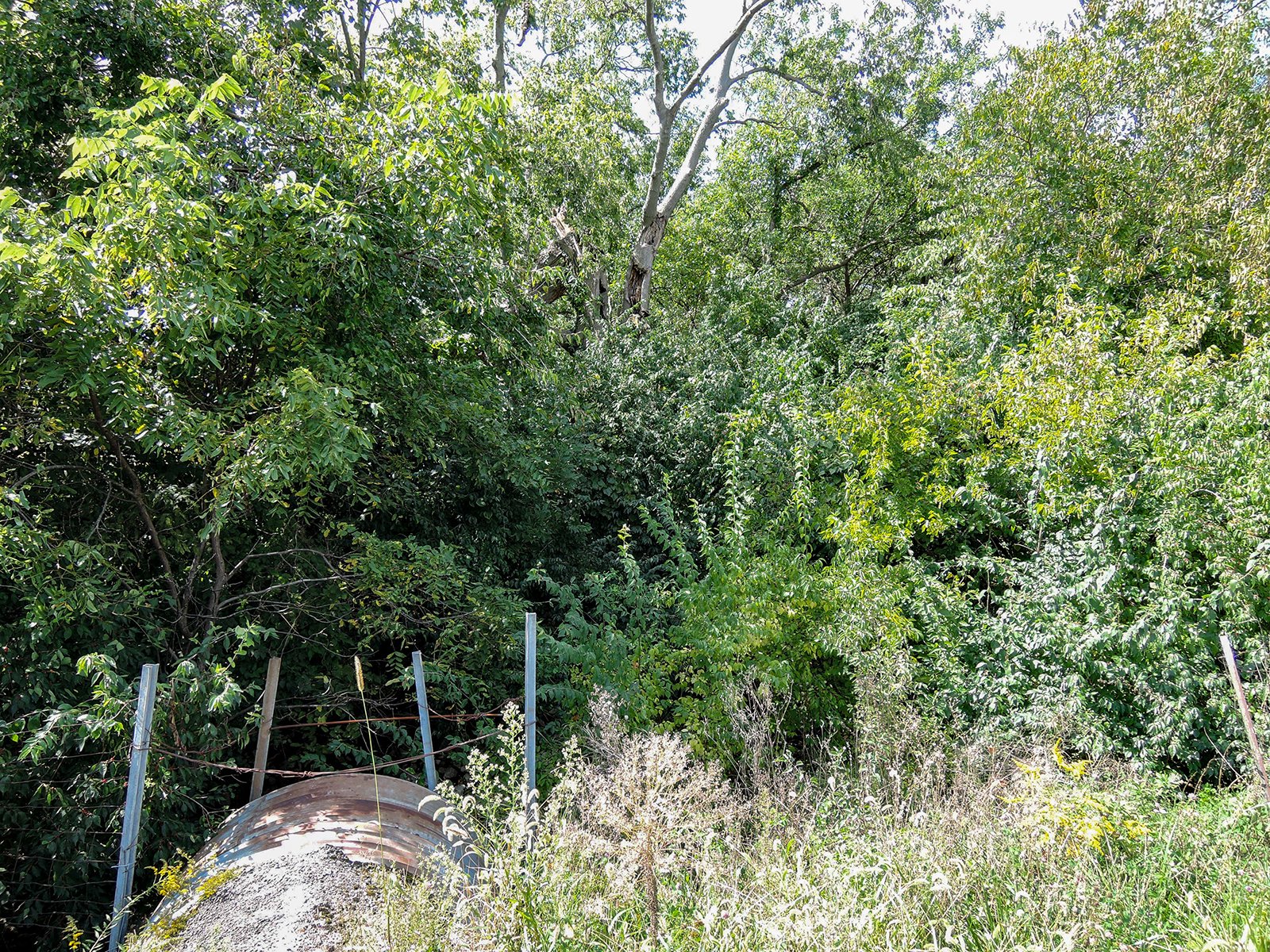 Property photo 3 - LAND AUCTION - 79+/-ACRES OFFERED IN 4 TRACTS IN MADISON COUNTY, INDIANA