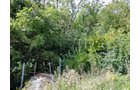 Property photo 3 - LAND AUCTION - 79+/-ACRES OFFERED IN 4 TRACTS IN MADISON COUNTY, INDIANA