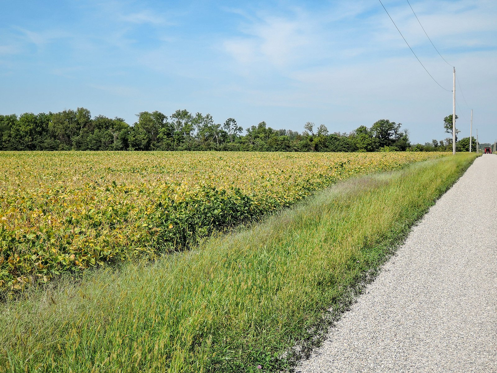 Property photo 9 - LAND AUCTION - 79+/-ACRES OFFERED IN 4 TRACTS IN MADISON COUNTY, INDIANA