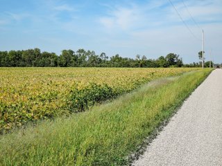 Property photo 9 - LAND AUCTION - 79+/-ACRES OFFERED IN 4 TRACTS IN MADISON COUNTY, INDIANA