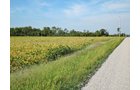 Property photo 9 - LAND AUCTION - 79+/-ACRES OFFERED IN 4 TRACTS IN MADISON COUNTY, INDIANA