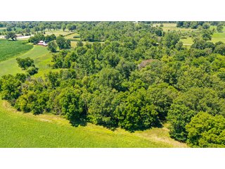 Property photo 17 - LAND AUCTION - 45+/-ACRES OFFERED IN 3 TRACTS IN STEUBEN COUNTY, INDIANA