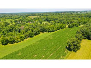 Property photo 21 - LAND AUCTION - 45+/-ACRES OFFERED IN 3 TRACTS IN STEUBEN COUNTY, INDIANA