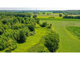 Property photo 6 - LAND AUCTION - 45+/-ACRES OFFERED IN 3 TRACTS IN STEUBEN COUNTY, INDIANA