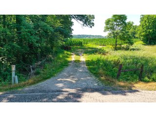 Property photo 23 - LAND AUCTION - 45+/-ACRES OFFERED IN 3 TRACTS IN STEUBEN COUNTY, INDIANA
