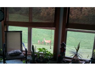 Property photo 26 - REAL ESTATE AUCTION - 16+/-ACRES OFFERED IN 3 TRACTS IN BRANCH COUNTY, MICHIGAN