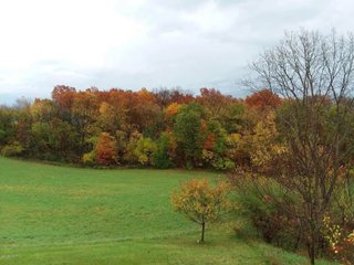 Property photo 17 - REAL ESTATE AUCTION - 16+/-ACRES OFFERED IN 3 TRACTS IN BRANCH COUNTY, MICHIGAN