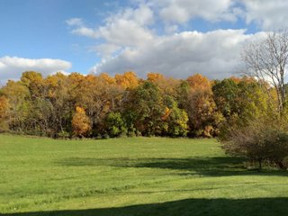 Property photo 16 - REAL ESTATE AUCTION - 16+/-ACRES OFFERED IN 3 TRACTS IN BRANCH COUNTY, MICHIGAN