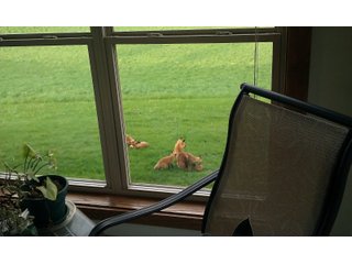 Property photo 29 - REAL ESTATE AUCTION - 16+/-ACRES OFFERED IN 3 TRACTS IN BRANCH COUNTY, MICHIGAN