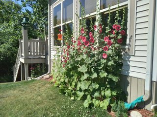 Property photo 14 - REAL ESTATE AUCTION - 16+/-ACRES OFFERED IN 3 TRACTS IN BRANCH COUNTY, MICHIGAN
