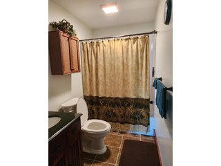 Property photo 41 - REAL ESTATE AUCTION - 16+/-ACRES OFFERED IN 3 TRACTS IN BRANCH COUNTY, MICHIGAN