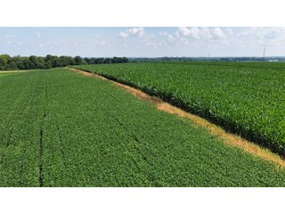 Property photo 10 - REAL ESTATE AUCTION - 73+/- ACRES OFFERED IN 4 TRACTS IN WAYNE COUNTY, INDIANA